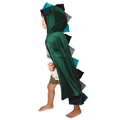 Een kind van vijf jaar draagt een groen fluwelen mantel met kap. Van  aan het voorhoofd tot onderaan de mantel  staan puntige drakenschubben langs de wervelkolom alternerend in 3 kleuren: licht groen, donkergroen en grijs.